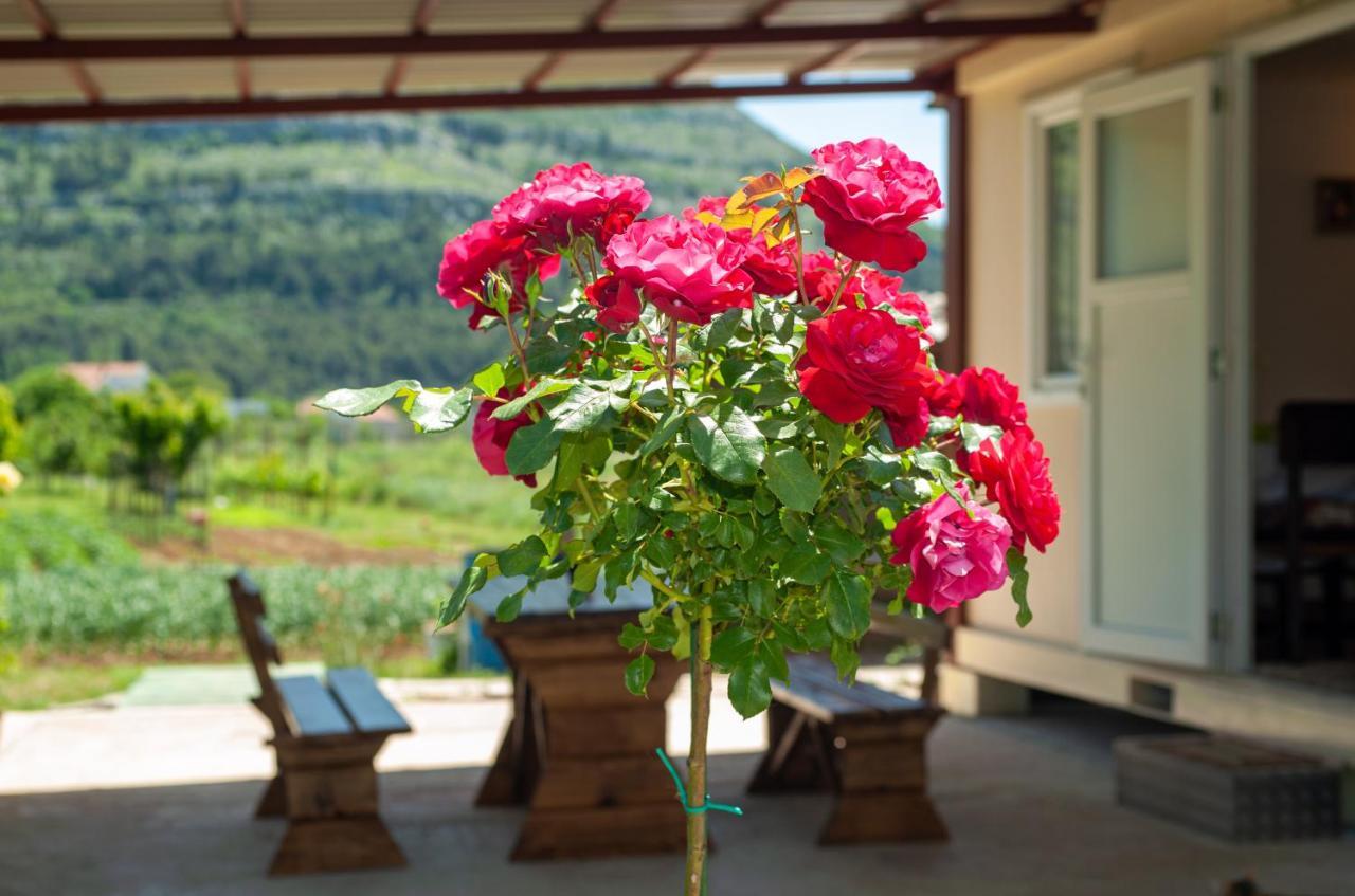 Smjestaj Dada Villa Trebinje Luaran gambar
