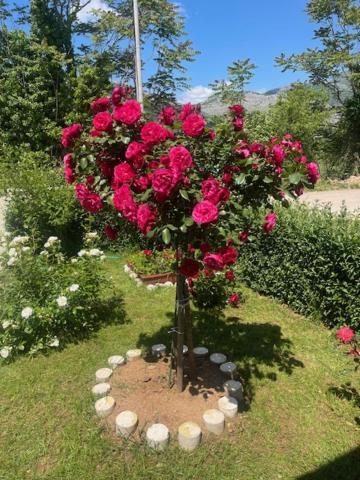 Smjestaj Dada Villa Trebinje Luaran gambar