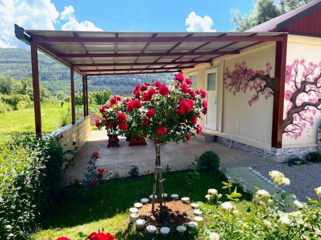 Smjestaj Dada Villa Trebinje Luaran gambar