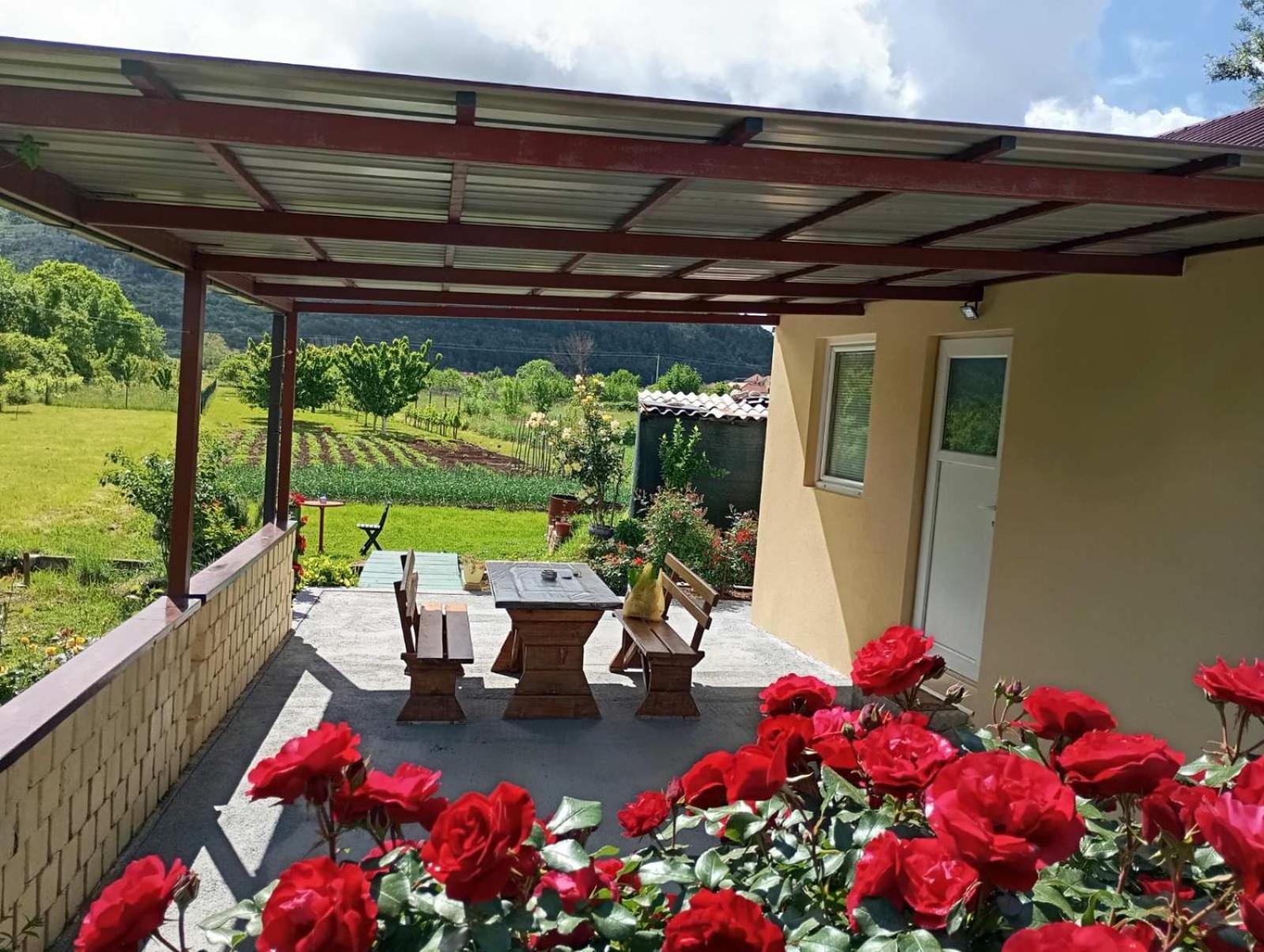 Smjestaj Dada Villa Trebinje Luaran gambar