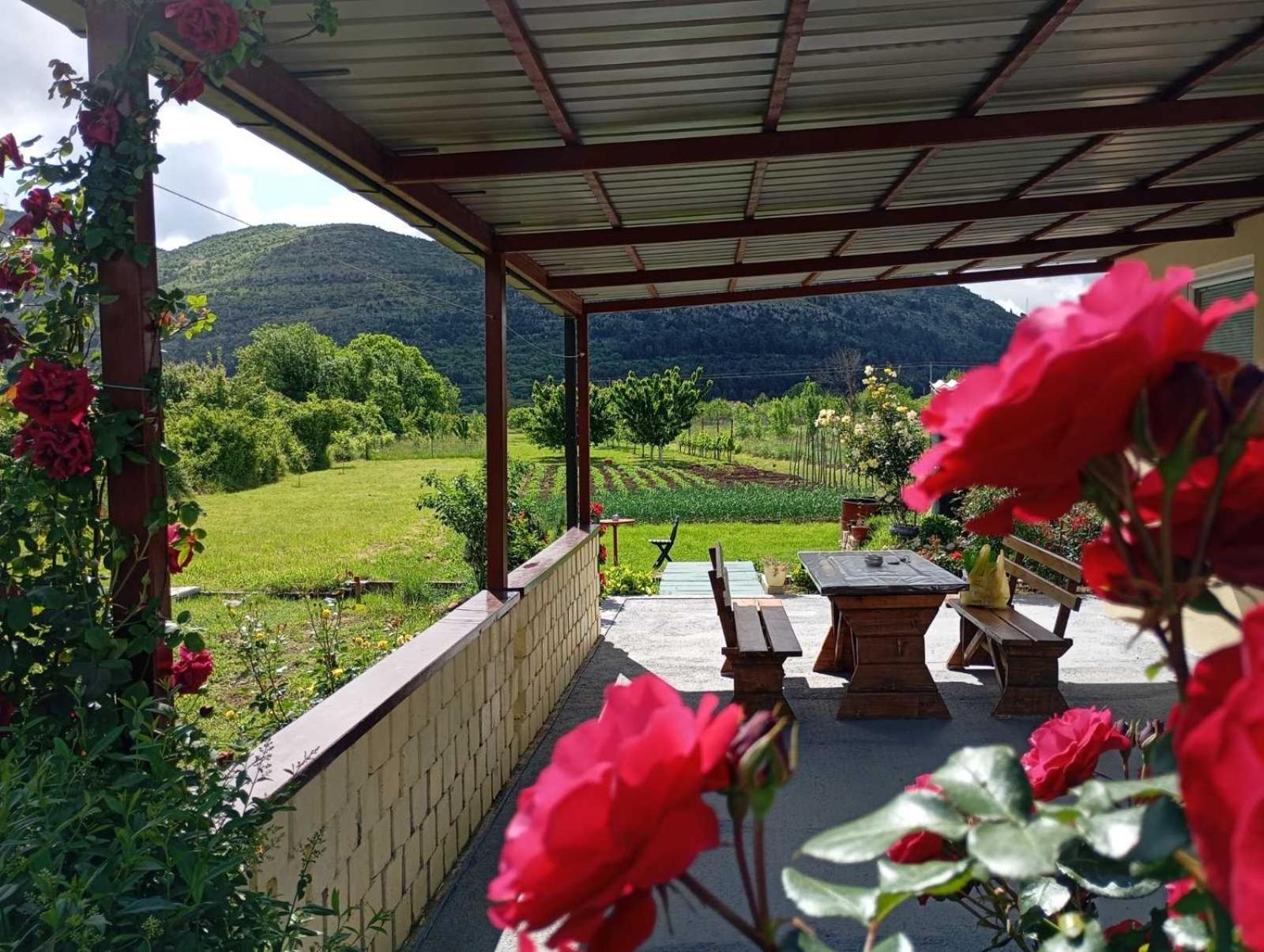 Smjestaj Dada Villa Trebinje Luaran gambar